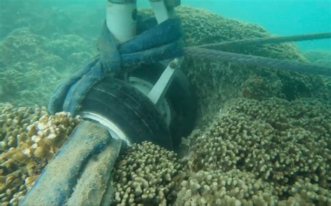 WATCH: Underwater video shows stuck Navy plane's tires touching coral reef